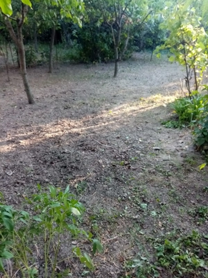 Proprietar, vând teren 806mp,în Timișoara, Str. Calea Ghirodei,două fronturi.  - imagine 2