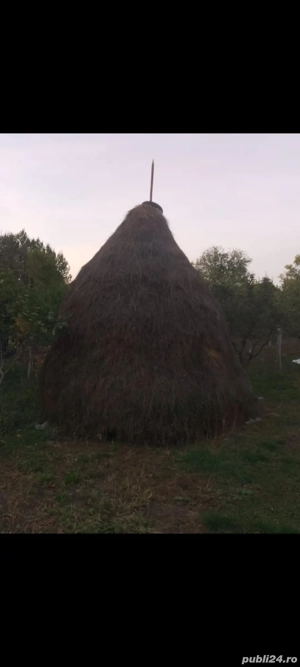 Cositoare rotativă 165  - imagine 2