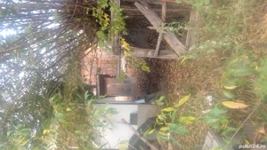 Vand casa bătrânească  - imagine 4