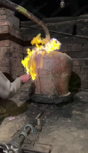 Palinca de prune 5 ani.