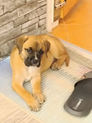 Odorheiu Secuiesc - imagine 3