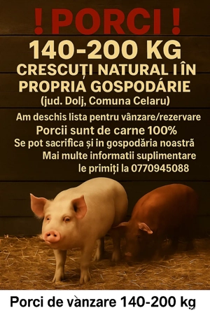 Porci De Vanzare 140-200 kg !!!