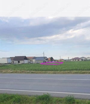 De vanzare teren intravilan in Nojorid jud Bihor 520 m  la 6 km de Oradea ! - imagine 6