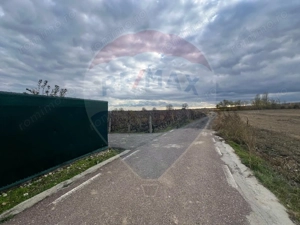 Teren intravilan 2727mp Carligele / Strada Tulceanu