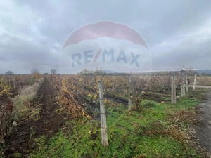 Teren intravilan 2727mp Carligele / Strada Tulceanu - imagine 5