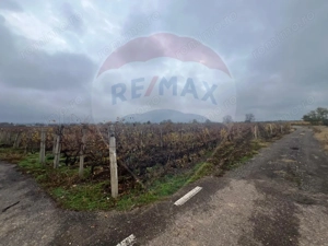 Teren intravilan 2727mp Carligele / Strada Tulceanu - imagine 3