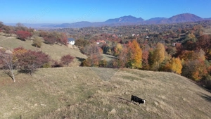 Teren 3,500mp Bran / Strada Bradul Inalt - imagine 5