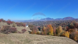 Teren 3,500mp Bran / Strada Bradul Inalt - imagine 2