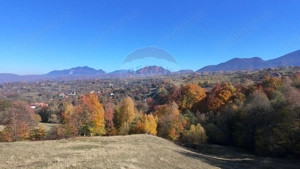 Teren 2,500mp Bran / Strada Bradul Inalt