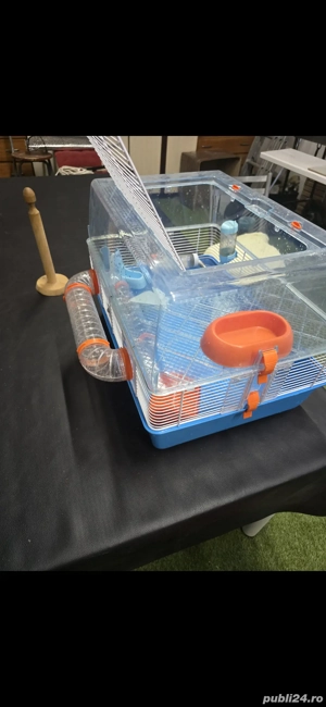 cusca rozătoare - imagine 2