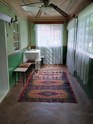 Casa batraneasca de vanzare, 4 camere, in Hunedoara, sat Micanesti - imagine 16