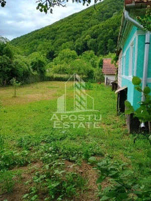 Casa batraneasca de vanzare, 4 camere, in Hunedoara, sat Micanesti - imagine 8