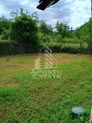 Casa batraneasca de vanzare, 4 camere, in Hunedoara, sat Micanesti - imagine 9