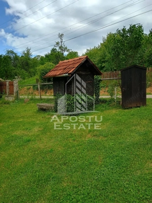 Casa batraneasca de vanzare, 4 camere, in Hunedoara, sat Micanesti - imagine 7