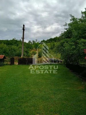 Casa batraneasca de vanzare, 4 camere, in Hunedoara, sat Micanesti - imagine 4