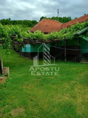 Casa batraneasca de vanzare, 4 camere, in Hunedoara, sat Micanesti - imagine 3
