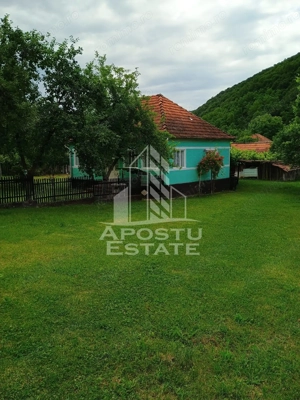 Casa batraneasca de vanzare, 4 camere, in Hunedoara, sat Micanesti - imagine 6