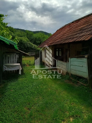 Casa batraneasca de vanzare, 4 camere, in Hunedoara, sat Micanesti - imagine 14