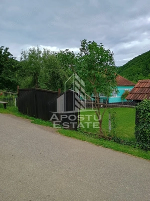 Casa batraneasca de vanzare, 4 camere, in Hunedoara, sat Micanesti - imagine 15