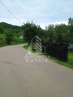 Casa batraneasca de vanzare, 4 camere, in Hunedoara, sat Micanesti - imagine 11