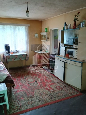 Casa batraneasca de vanzare, 4 camere, in Hunedoara, sat Micanesti - imagine 18