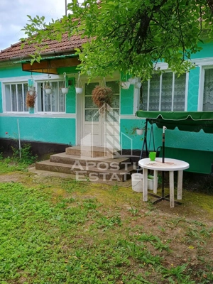 Casa batraneasca de vanzare, 4 camere, in Hunedoara, sat Micanesti - imagine 2