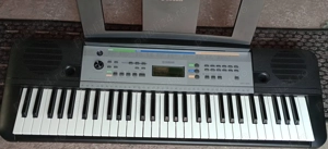 orga yamaha YP-T255