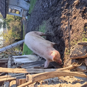 De vânzare ce se vede separat sau împreună. - imagine 3