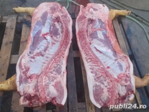 carcasa porc crescut natural 