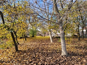 teren intravilan, Târgoviște, cartier Priseaca   - imagine 7