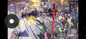 Se vinde casa la Valea Lupului cu teren - imagine 4