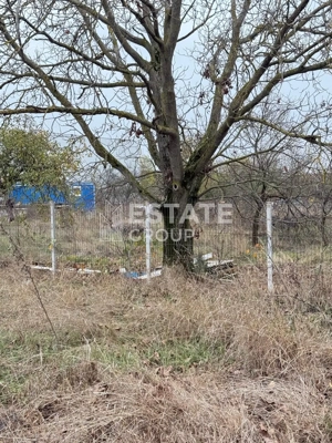 Teren Bucovat, oportunitate de investitie - imagine 3