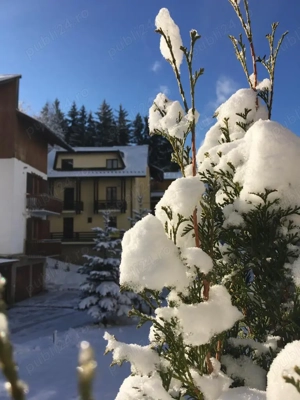 Apartament Poiana Brasov Vilele de aur DIRECT PROPRIETAR - imagine 2