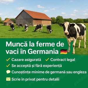 Angajăm cupluri  la ferme 
