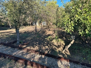 De vânzare casă cu teren generos în sat Peștișu Mare - imagine 8