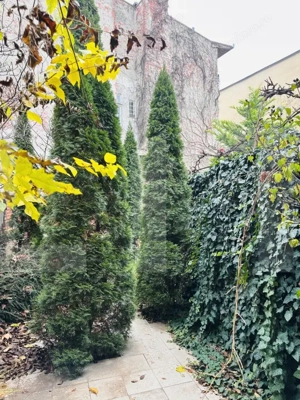 Spatiu generos in centrul Aradului, 180mp utili, investitie ideala - imagine 20