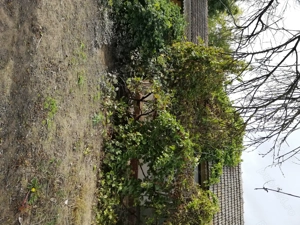 Vând casă batraneasca  - imagine 3