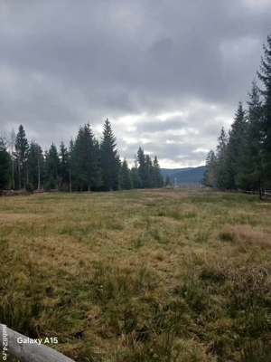 vând 6000 mp teren extravilan 