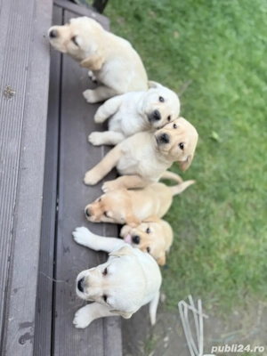   Un cadou minunat de sarbatori!!!  