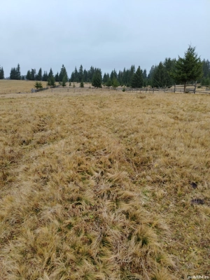 Teren de vânzare  - imagine 6