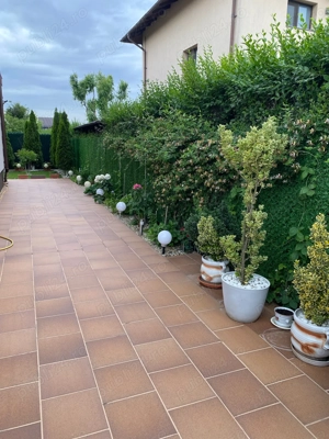 Vand vila tip duplex comuna Berceni,Ilfov - imagine 4