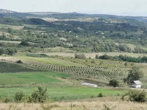 Ferma de aluni + teren turistic panoramic  - imagine 7