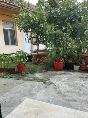 Vanzare Ap. 2 cam. , Zona P-ta Reconcilierii , Demisol , OFERTA - imagine 6