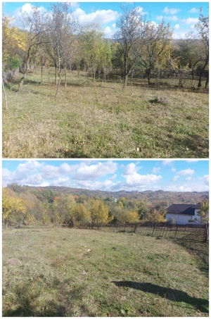 De vânzare 2 terenuri, com. Berevoiești, sat Ungureni, 3500mp, 8eur m2 - imagine 6