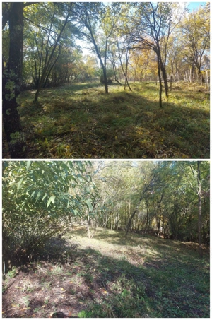 De vânzare 2 terenuri, com. Berevoiești, sat Ungureni, 3500mp, 8eur m2 - imagine 5