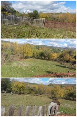 De vânzare 2 terenuri, com. Berevoiești, sat Ungureni, 3500mp, 8eur m2 - imagine 3