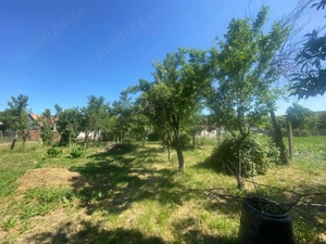 Casă 4 camere, curte individuala, 1350 mp teren, in Șura Mare, Sibiu - imagine 7