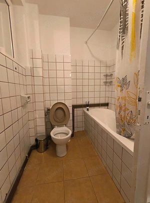 Sala Palatului- Cismigiu- Brezoianu - imagine 7