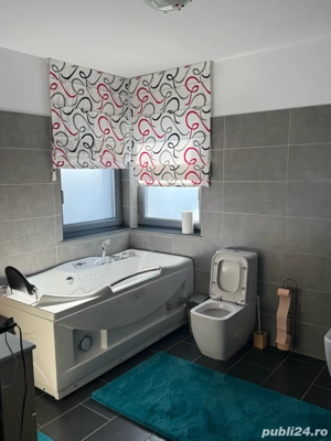 Casa Valea Lupului, strada Traian Vuia - imagine 7