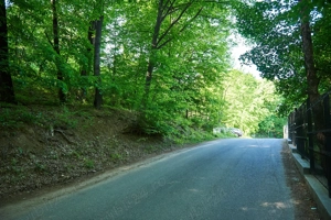 Vand teren 5000 mp, Schitul Tarata, Iasi